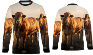 RODEO